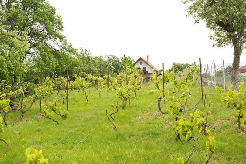 Oradea Cazare | Sat de vacanță (K1403-46) Imaginea poate fi supusă drepturilor de autor. Se recomandă contactarea titularului drepturilor.