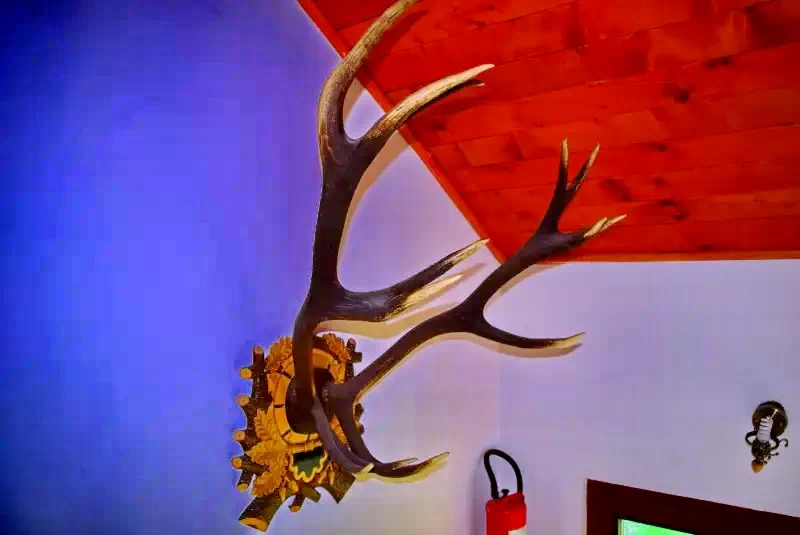 Valea Drăganului Cazare | Cabană (K0769-14) Imaginea poate fi supusă drepturilor de autor. Se recomandă contactarea titularului drepturilor.