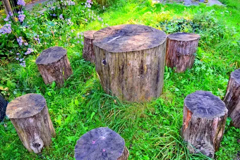 Valea Drăganului Cazare | Cabană (K0769-22) Imaginea poate fi supusă drepturilor de autor. Se recomandă contactarea titularului drepturilor.