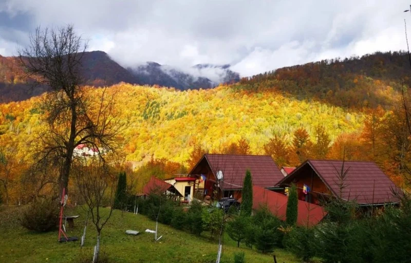 Cazare Boga - Cabana Cristal | Boga - Cristal Faház. Imaginea poate fi supusă drepturilor de autor. Se recomandă contactarea titularului drepturilor.