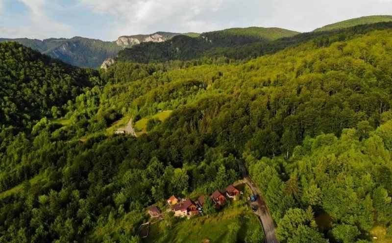 Cazare Boga - Cabana Cristal | Boga - Cristal Faház. Imaginea poate fi supusă drepturilor de autor. Se recomandă contactarea titularului drepturilor.