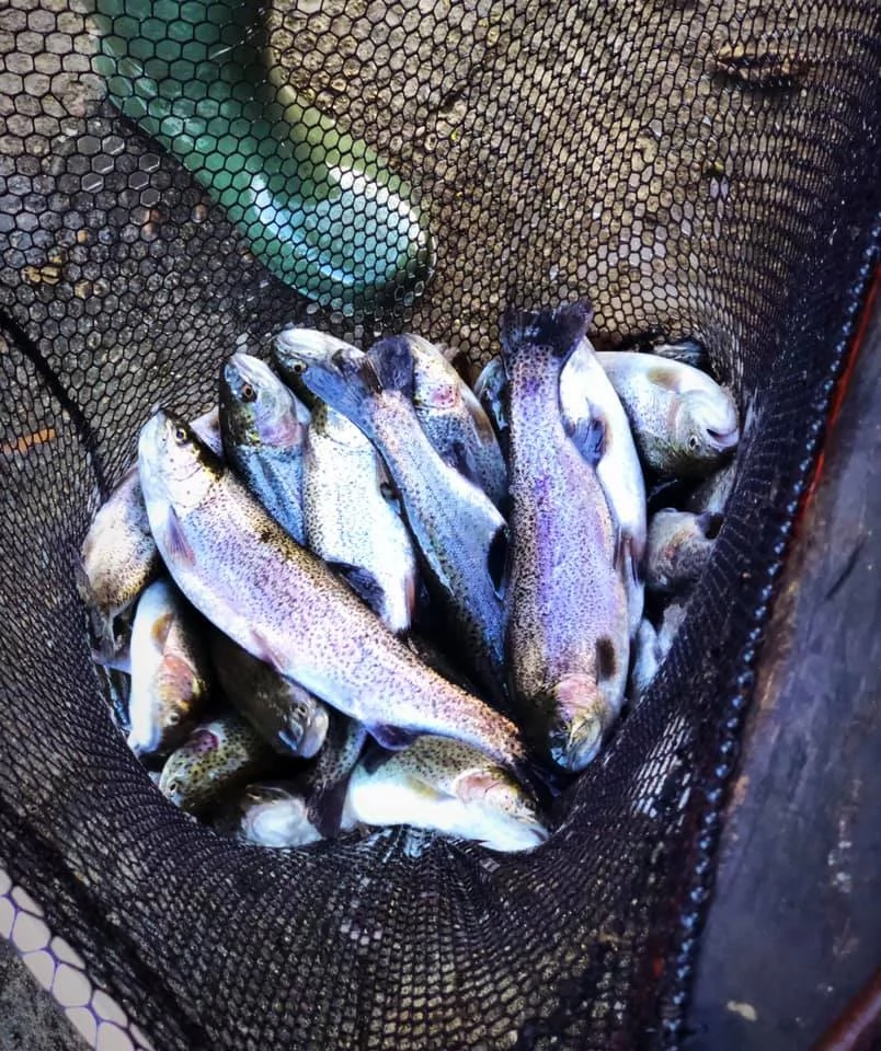 Valea Boga Cazare | Cabană (K1455-43) Imaginea poate fi supusă drepturilor de autor. Se recomandă contactarea titularului drepturilor. Valea Boga Cazare | Cabană (K1455-43) Imaginea poate fi supusă drepturilor de autor. Se recomandă contactarea titularului drepturilor.