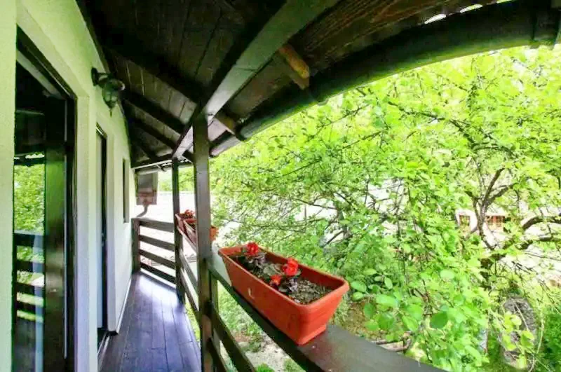 Borșa Cazare | Motel (K0991-17) Imaginea poate fi supusă drepturilor de autor. Se recomandă contactarea titularului drepturilor.