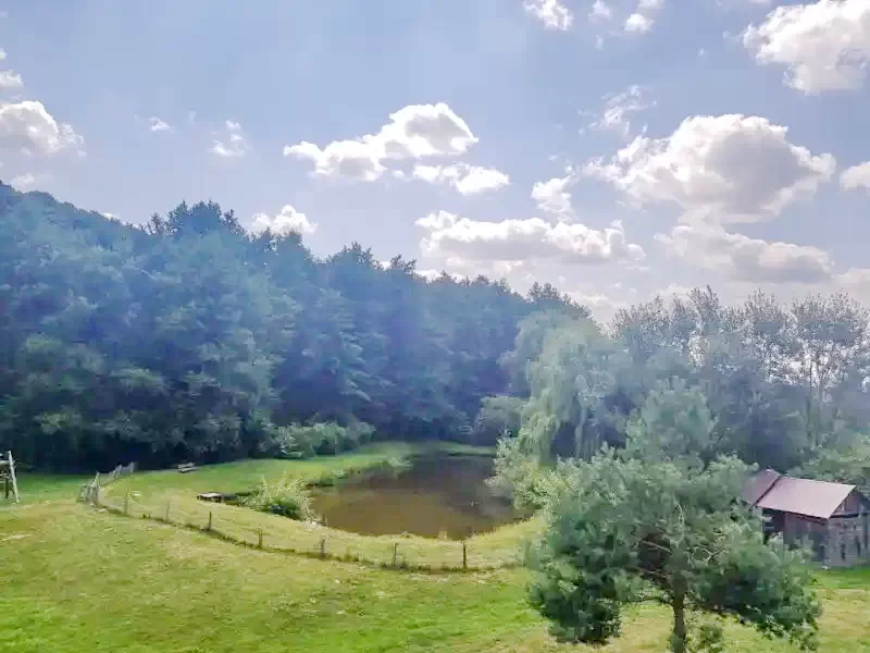 Zabola Szállás | Motel (K1378-33) A kép szerzői jogvédelem alatt állhat. Javasolt a kapcsolatfelvétel a jog tulajdonossal.