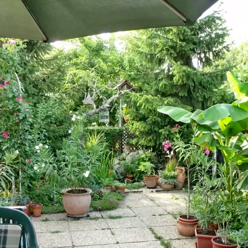 Jula Cazare | Cabană (K0013-2) Imaginea poate fi supusă drepturilor de autor. Se recomandă contactarea titularului drepturilor. Jula Cazare | Cabană (K0013-2) Imaginea poate fi supusă drepturilor de autor. Se recomandă contactarea titularului drepturilor.