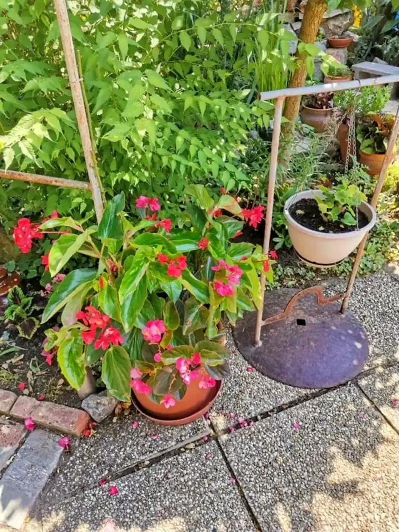 Jula Cazare | Cabană (K0013-30) Imaginea poate fi supusă drepturilor de autor. Se recomandă contactarea titularului drepturilor. Jula Cazare | Cabană (K0013-30) Imaginea poate fi supusă drepturilor de autor. Se recomandă contactarea titularului drepturilor.