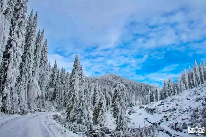 Harghita Madaras Harghita Madaras