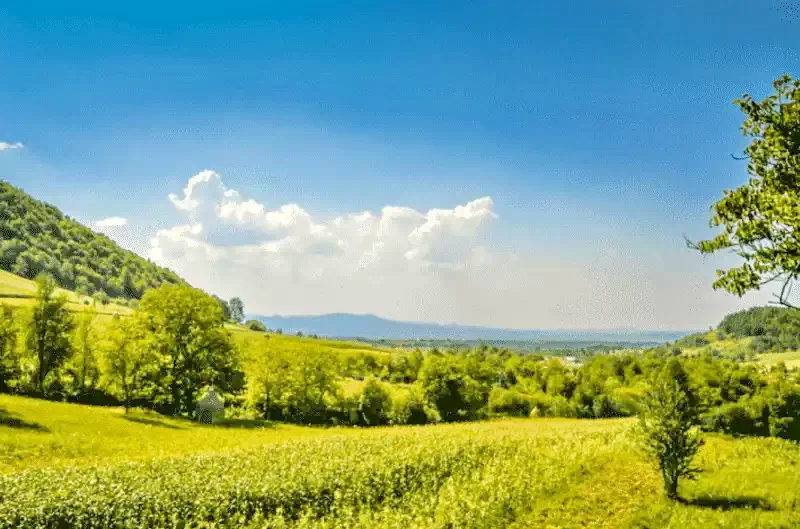 Chișcău Cazare | Pensiune (K0369-44) Imaginea poate fi supusă drepturilor de autor. Se recomandă contactarea titularului drepturilor.