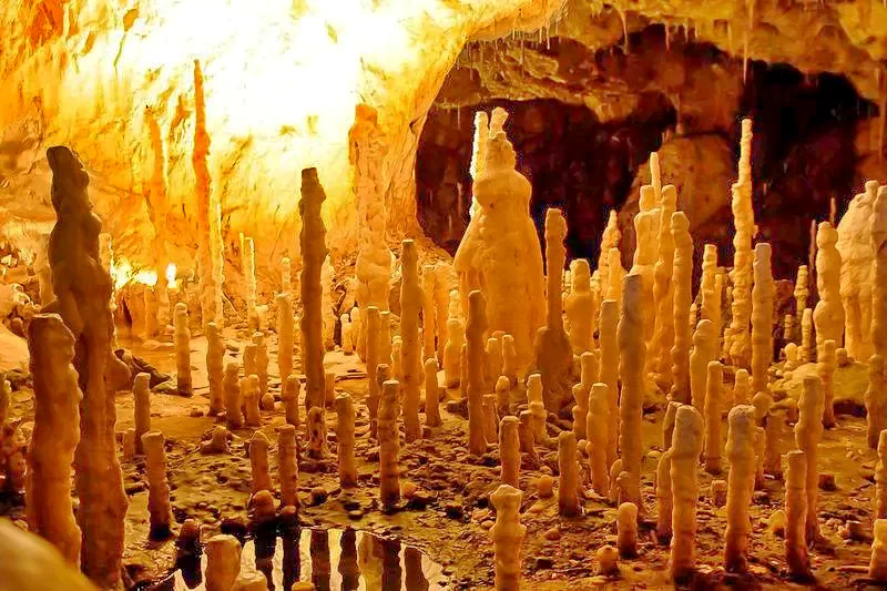 Chișcău Cazare | Pensiune (K0369-49) Imaginea poate fi supusă drepturilor de autor. Se recomandă contactarea titularului drepturilor.