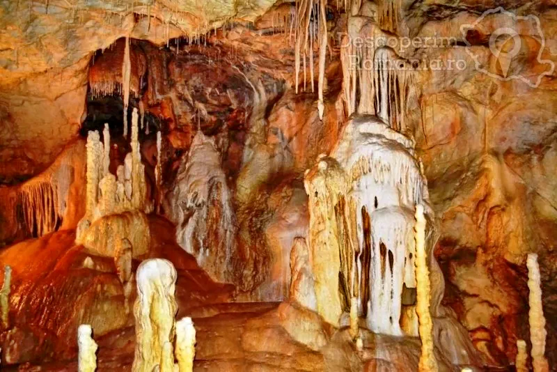 Chișcău Cazare | Pensiune (K0369-51) Imaginea poate fi supusă drepturilor de autor. Se recomandă contactarea titularului drepturilor.