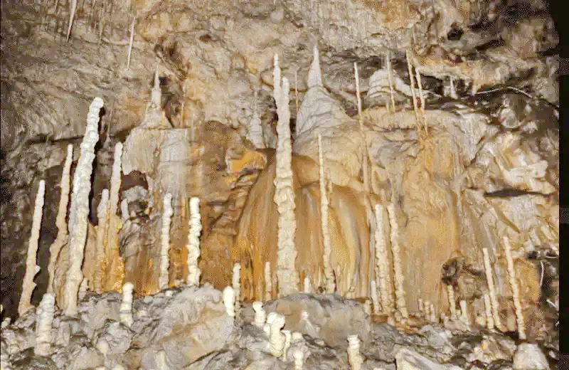 Kiskoh Szállás | Panzió (K0369-55) A kép szerzői jogvédelem alatt állhat. Javasolt a kapcsolatfelvétel a jog tulajdonossal. Kiskoh Szállás | Panzió (K0369-55) A kép szerzői jogvédelem alatt állhat. Javasolt a kapcsolatfelvétel a jog tulajdonossal.