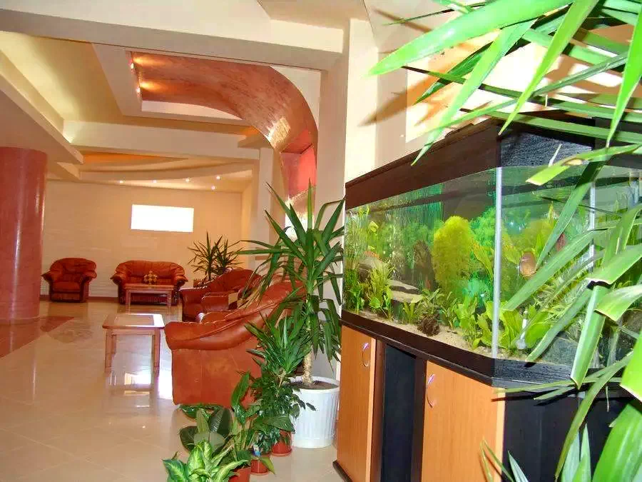 Eforie Nord Cazare | Camping / Popas turistic (K1315-5) Imaginea poate fi supusă drepturilor de autor. Se recomandă contactarea titularului drepturilor.