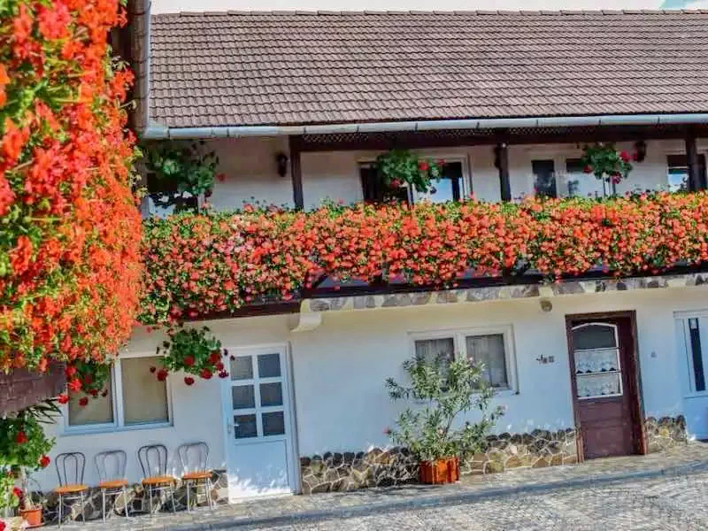 Cazare Corund - Pensiunea Enikő** | Korond - Enikő Panzió**. Imaginea poate fi supusă drepturilor de autor. Se recomandă contactarea titularului drepturilor.