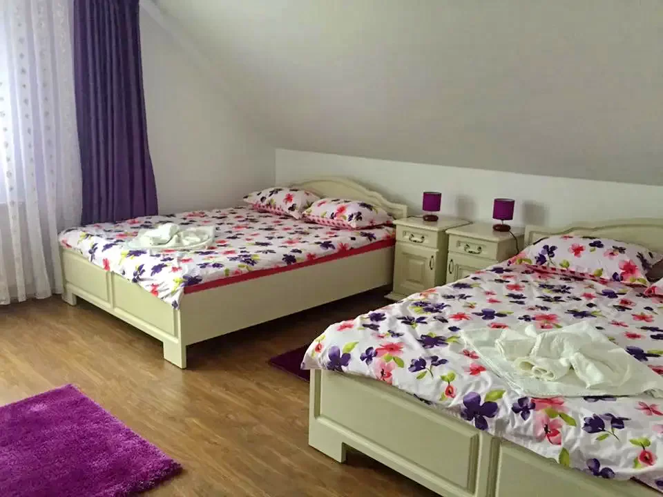 Călățele Cazare | Sat de vacanță (K0641-14) Imaginea poate fi supusă drepturilor de autor. Se recomandă contactarea titularului drepturilor.