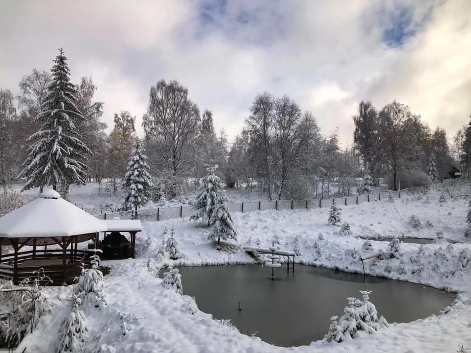 Călățele Cazare | Cabană (K0641-19) Imaginea poate fi supusă drepturilor de autor. Se recomandă contactarea titularului drepturilor.