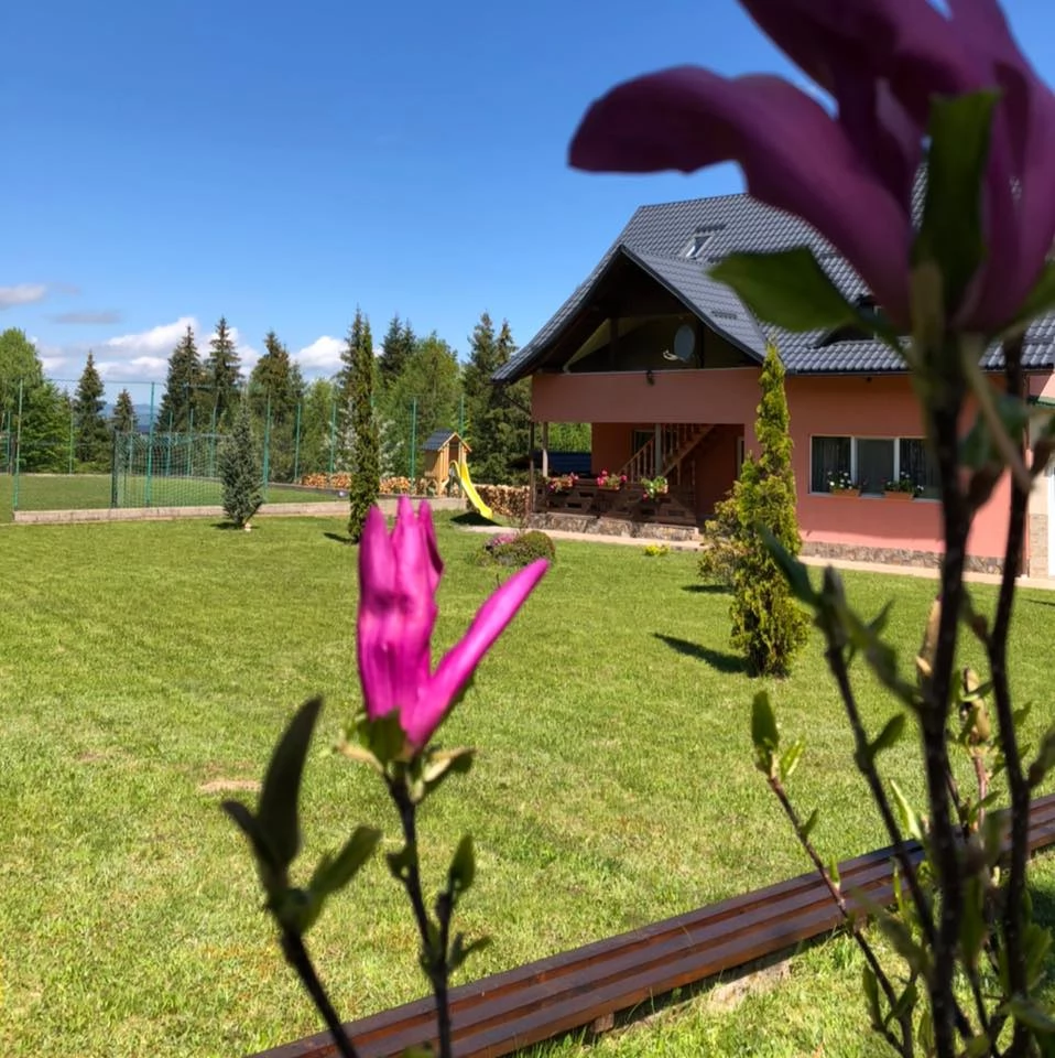 Călățele Cazare | Cabană (K0641-26) Imaginea poate fi supusă drepturilor de autor. Se recomandă contactarea titularului drepturilor.