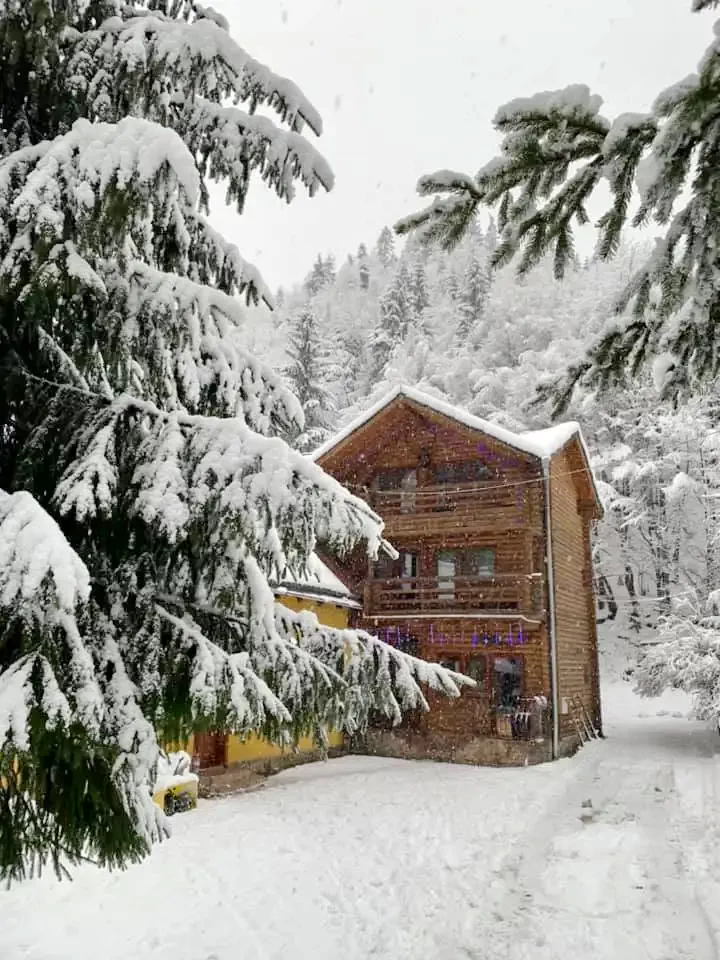 Radnaborberek Szállás | Hotel**** (K1257-32) A kép szerzői jogvédelem alatt állhat. Javasolt a kapcsolatfelvétel a jog tulajdonossal.