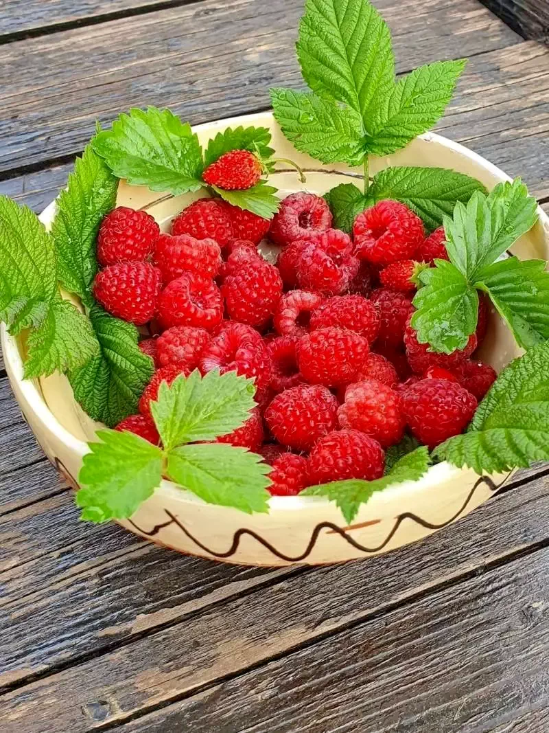 Vama Cazare | Sat de vacanță (K1208-30) Imaginea poate fi supusă drepturilor de autor. Se recomandă contactarea titularului drepturilor.