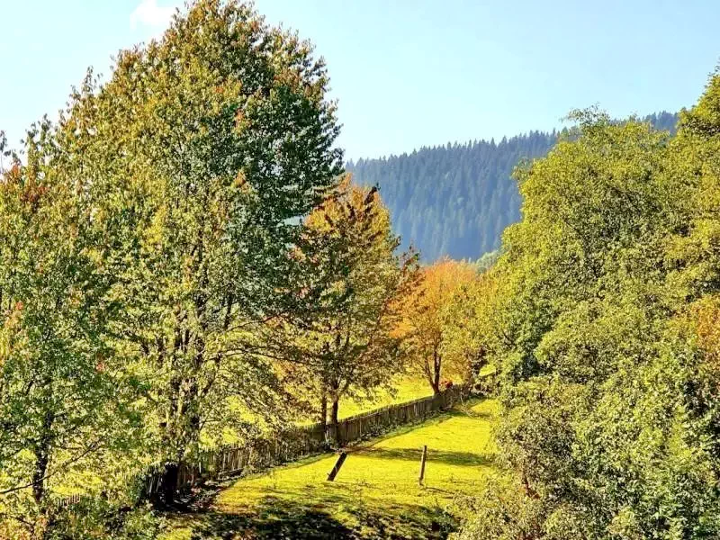 Szállás | Kulcsosház (K1208-33) A kép szerzői jogvédelem alatt állhat. Javasolt a kapcsolatfelvétel a jog tulajdonossal. Szállás | Kulcsosház (K1208-33) A kép szerzői jogvédelem alatt állhat. Javasolt a kapcsolatfelvétel a jog tulajdonossal.
