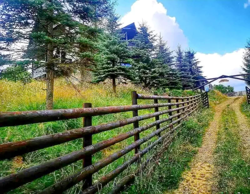  Szállás | Üdülőfalu (K1208-35) A kép szerzői jogvédelem alatt állhat. Javasolt a kapcsolatfelvétel a jog tulajdonossal.