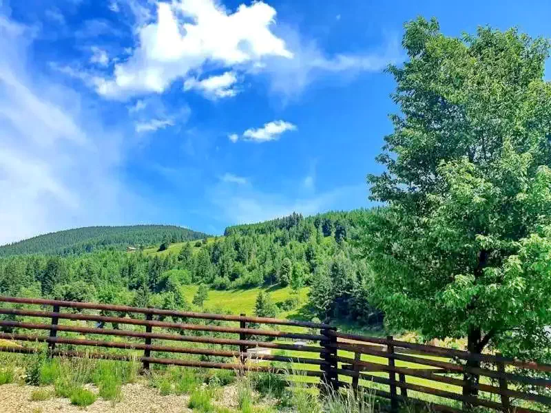 Vama Cazare | Sat de vacanță (K1208-37) Imaginea poate fi supusă drepturilor de autor. Se recomandă contactarea titularului drepturilor.