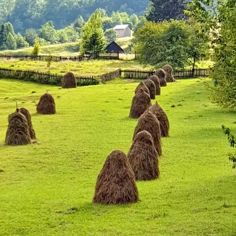 Vama Cazare | Sat de vacanță (K1208-40) Imaginea poate fi supusă drepturilor de autor. Se recomandă contactarea titularului drepturilor.