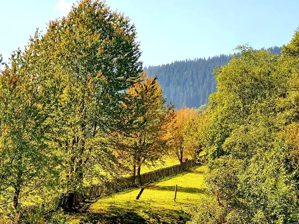  Szállás | Üdülőfalu (K1208-43) A kép szerzői jogvédelem alatt állhat. Javasolt a kapcsolatfelvétel a jog tulajdonossal.