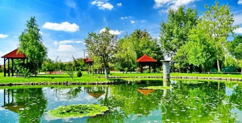 Târgu Mureș Cazare | Hotel**** (K0084-81) Imaginea poate fi supusă drepturilor de autor. Se recomandă contactarea titularului drepturilor.