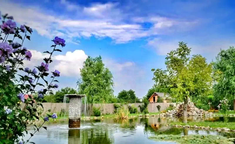 Târgu Mureș Cazare | Hotel**** (K0084-83) Imaginea poate fi supusă drepturilor de autor. Se recomandă contactarea titularului drepturilor.