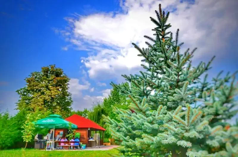 Târgu Mureș Cazare | Hotel**** (K0084-90) Imaginea poate fi supusă drepturilor de autor. Se recomandă contactarea titularului drepturilor.