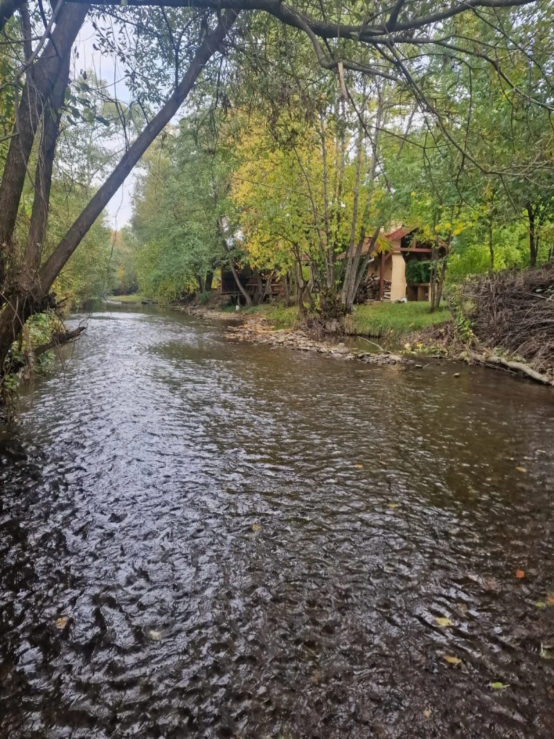 Câmpu Cetății Cazare | Hotel**** (K1472-43) Imaginea poate fi supusă drepturilor de autor. Se recomandă contactarea titularului drepturilor.