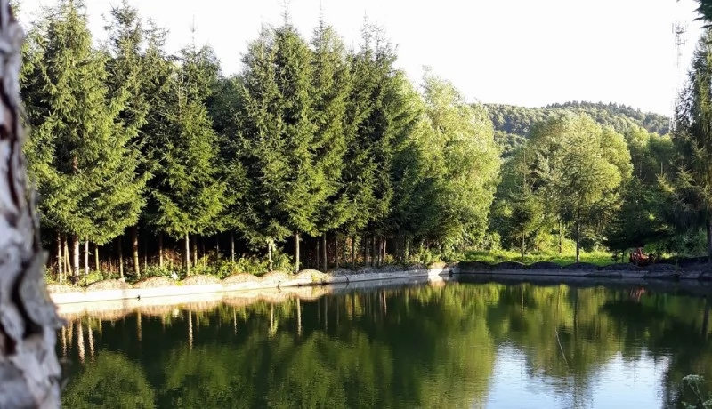 Vármező Szállás | Hotel**** (K1472-45) A kép szerzői jogvédelem alatt állhat. Javasolt a kapcsolatfelvétel a jog tulajdonossal.