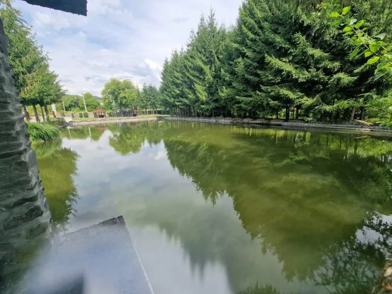 Câmpu Cetății Cazare | Hotel**** (K1472-46) Imaginea poate fi supusă drepturilor de autor. Se recomandă contactarea titularului drepturilor.