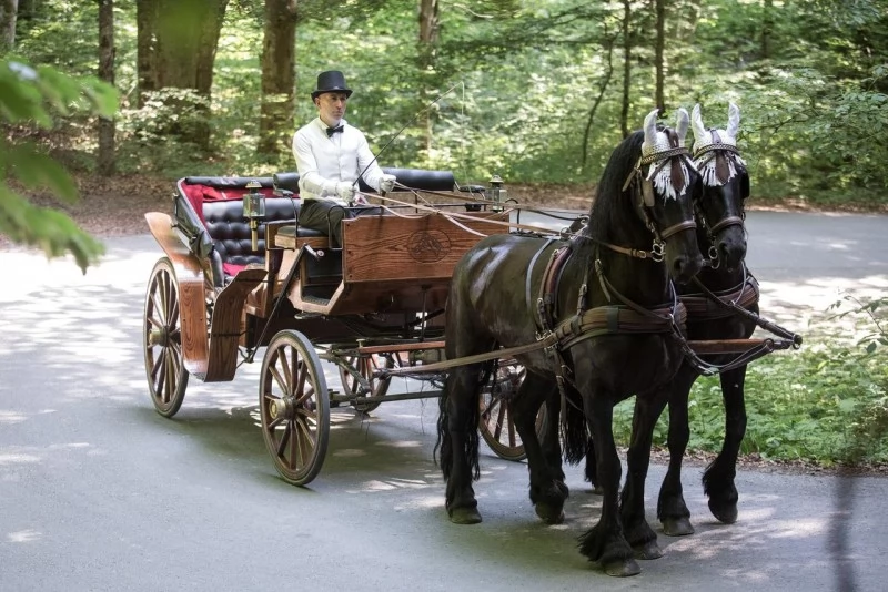 Câmpu Cetății Cazare | Hotel**** (K1472-59) Imaginea poate fi supusă drepturilor de autor. Se recomandă contactarea titularului drepturilor.