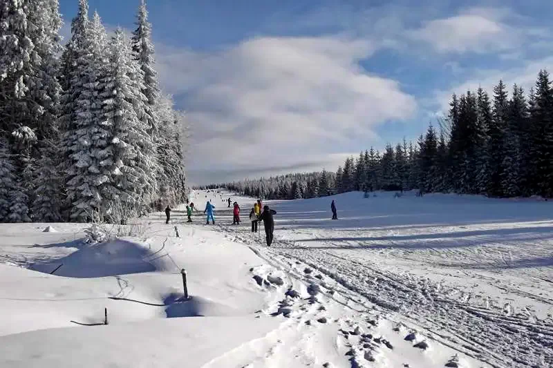 Bucsin Bogdan sípálya