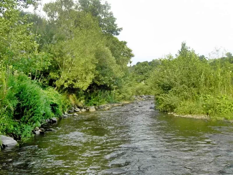 Praid Cazare | Pensiune (K0294-9) Imaginea poate fi supusă drepturilor de autor. Se recomandă contactarea titularului drepturilor.