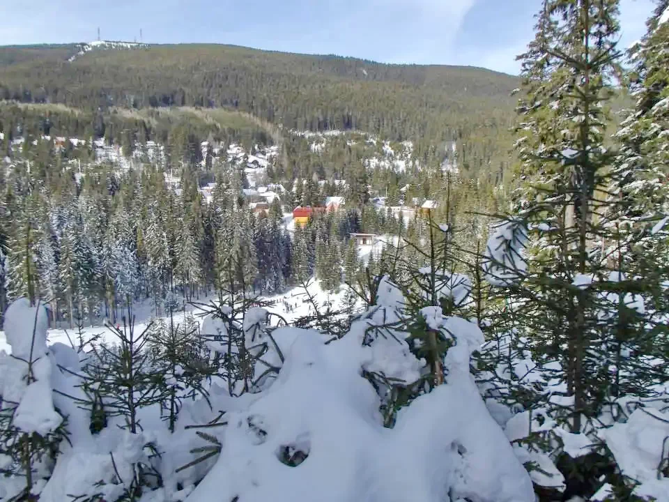 Hargitafürdő Szállás | Kulcsosház (K1204-26) A kép szerzői jogvédelem alatt állhat. Javasolt a kapcsolatfelvétel a jog tulajdonossal.