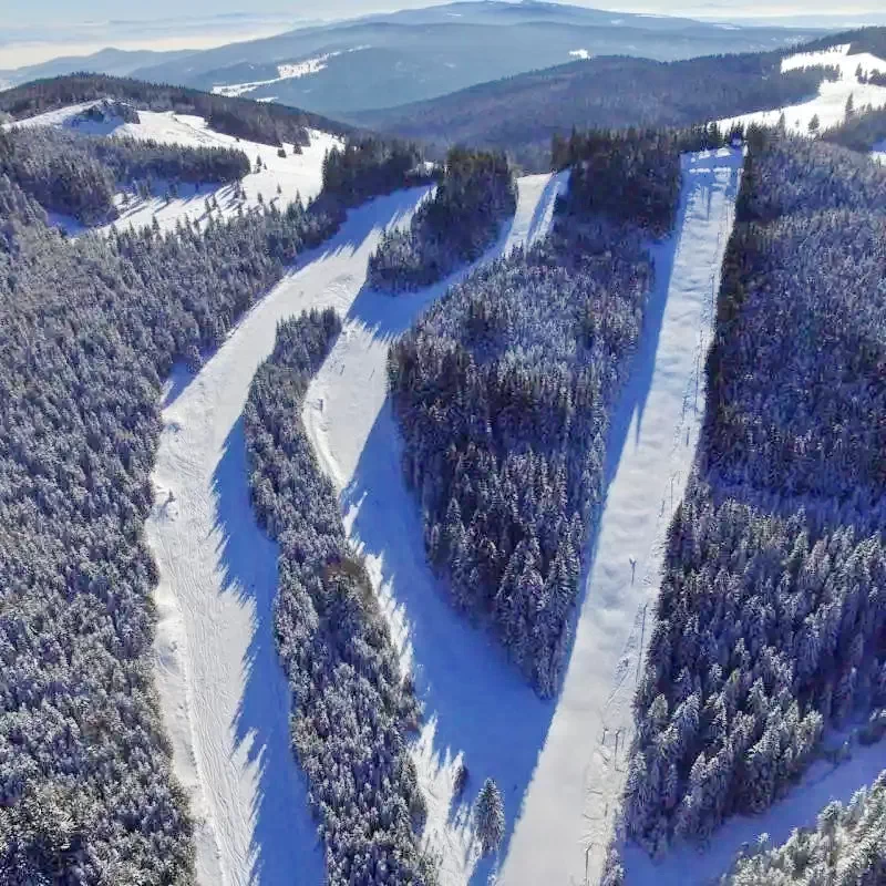 Harghita-Băi Cazare | Cabană (K1204-34) Imaginea poate fi supusă drepturilor de autor. Se recomandă contactarea titularului drepturilor. Harghita-Băi Cazare | Cabană (K1204-34) Imaginea poate fi supusă drepturilor de autor. Se recomandă contactarea titularului drepturilor.