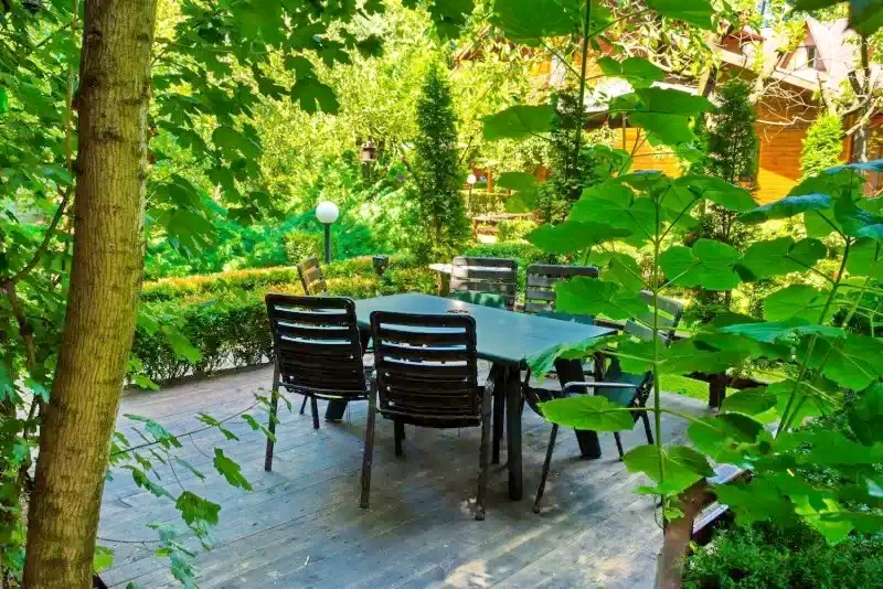 București Cazare | Motel (K0772-16) Imaginea poate fi supusă drepturilor de autor. Se recomandă contactarea titularului drepturilor.