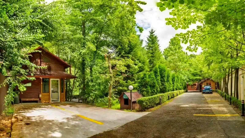 București Cazare | Motel (K0772-21) Imaginea poate fi supusă drepturilor de autor. Se recomandă contactarea titularului drepturilor.