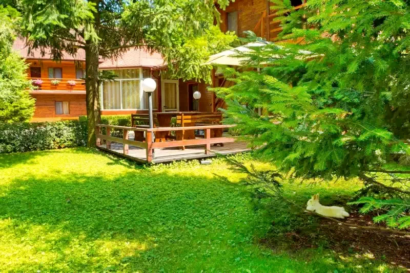 Bukarest Szállás | Motel (K0772-31) A kép szerzői jogvédelem alatt állhat. Javasolt a kapcsolatfelvétel a jog tulajdonossal.