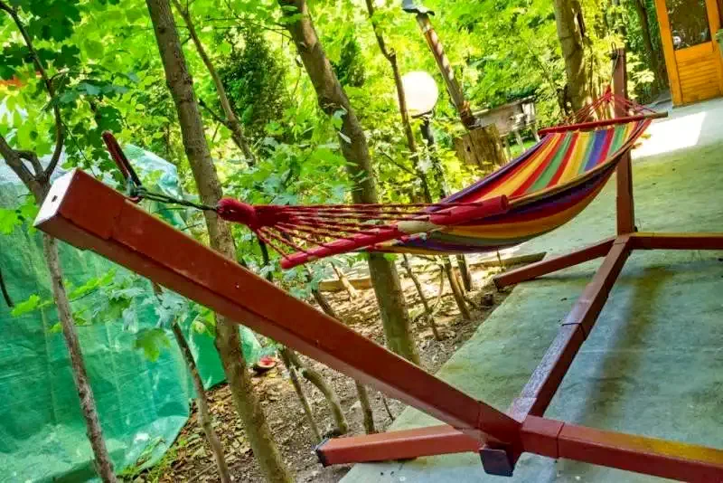 București Cazare | Motel (K0772-32) Imaginea poate fi supusă drepturilor de autor. Se recomandă contactarea titularului drepturilor.