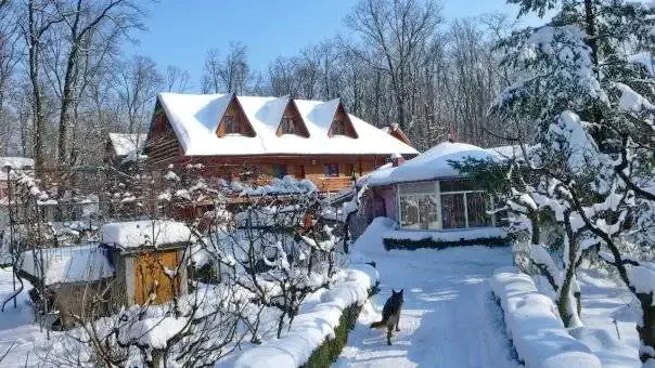 Bukarest Szállás | Motel (K0772-38) A kép szerzői jogvédelem alatt állhat. Javasolt a kapcsolatfelvétel a jog tulajdonossal.