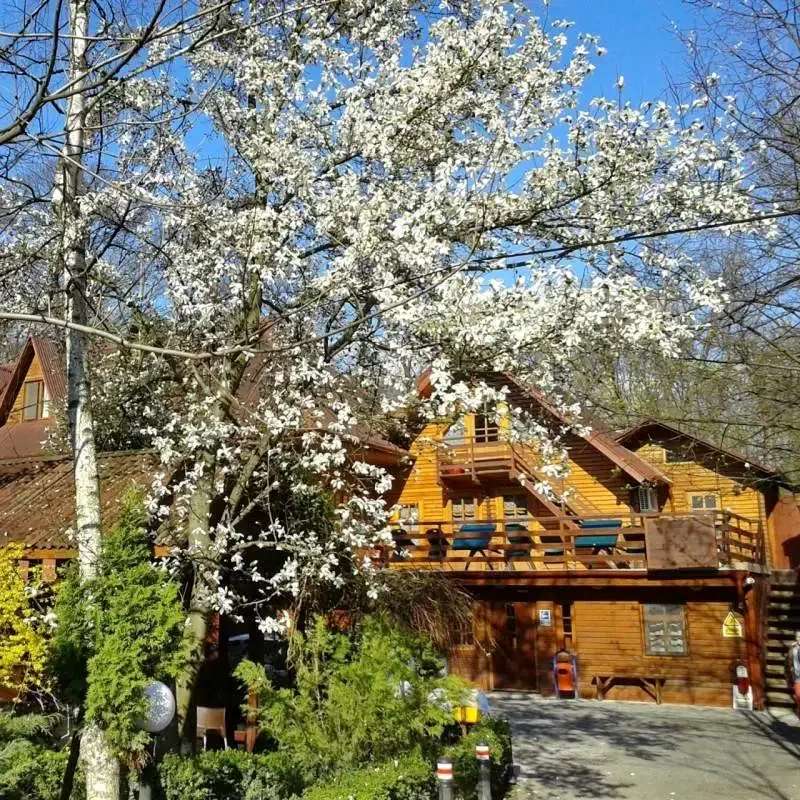 București Cazare | Motel (K0772-45) Imaginea poate fi supusă drepturilor de autor. Se recomandă contactarea titularului drepturilor.