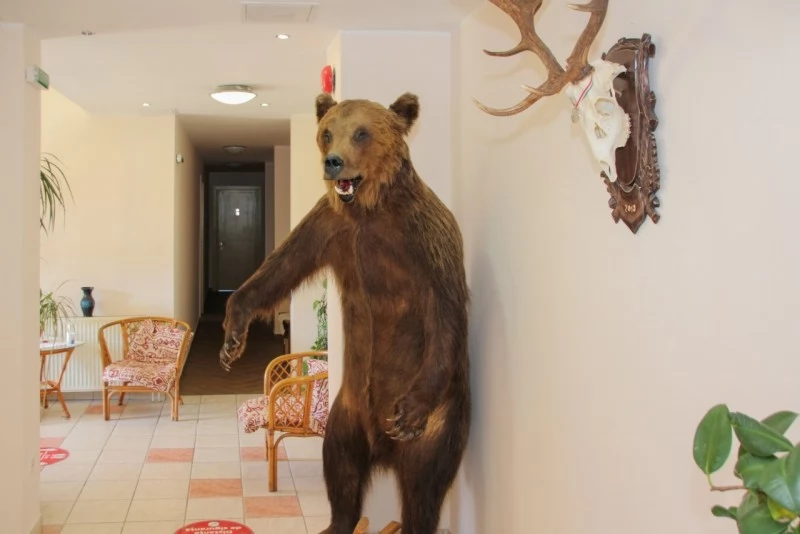 Parajd Szállás | Panzió (K0762-48) A kép szerzői jogvédelem alatt állhat. Javasolt a kapcsolatfelvétel a jog tulajdonossal.