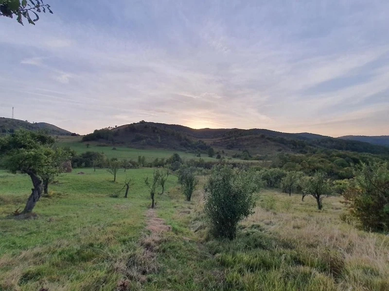 Hátszeg Szállás | Hotel*** (K1547-55) A kép szerzői jogvédelem alatt állhat. Javasolt a kapcsolatfelvétel a jog tulajdonossal.