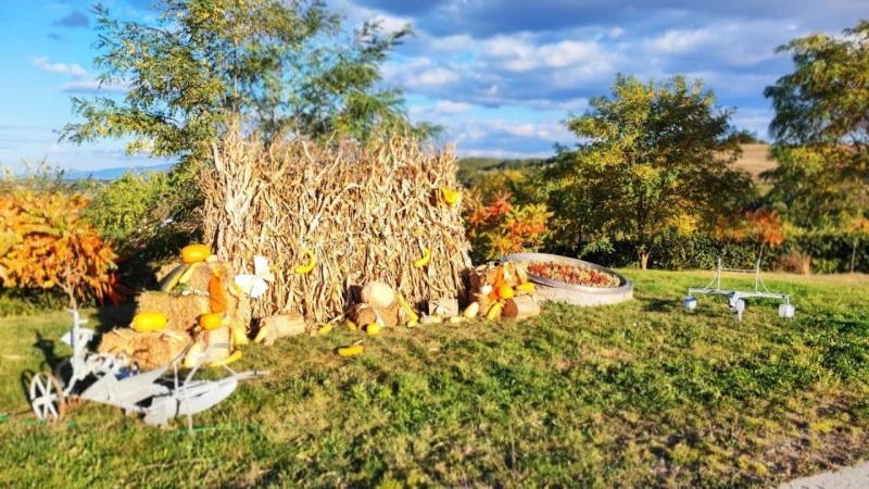 Hațeg Cazare | Hotel*** (K1547-57) Imaginea poate fi supusă drepturilor de autor. Se recomandă contactarea titularului drepturilor.