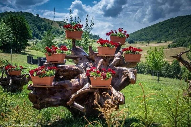 Hațeg Cazare | Hotel*** (K1547-73) Imaginea poate fi supusă drepturilor de autor. Se recomandă contactarea titularului drepturilor.