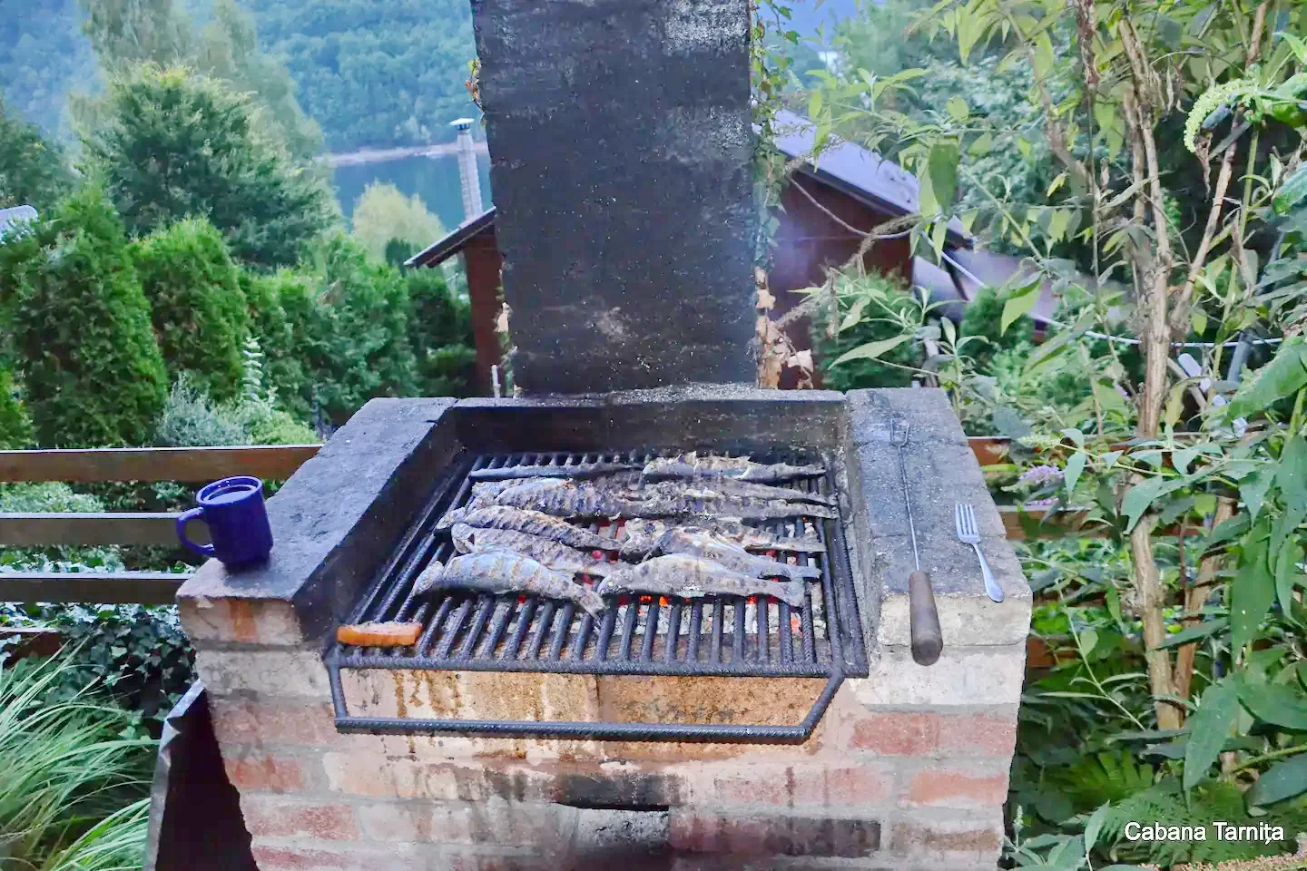 Gilău Cazare | Sat de vacanță (K0893-27) Imaginea poate fi supusă drepturilor de autor. Se recomandă contactarea titularului drepturilor.