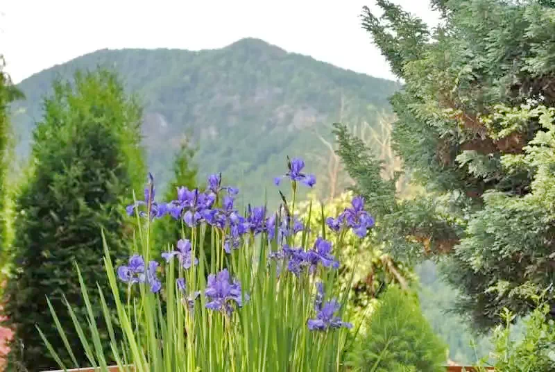 Gilău Cazare | Sat de vacanță (K0893-46) Imaginea poate fi supusă drepturilor de autor. Se recomandă contactarea titularului drepturilor.